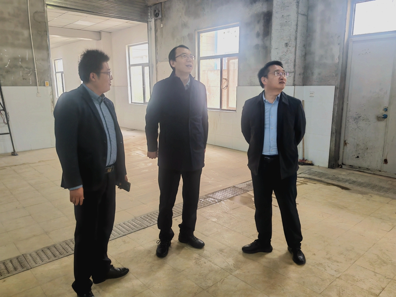 20250328/67e65ab028236.jpg 微信圖片_20250328160052_副本_800.jpg