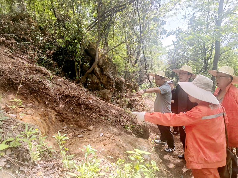 范樂(lè)偉一行赴漢中項(xiàng)目檢查指導(dǎo)工作