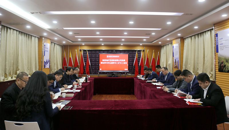 陜西地礦區(qū)研院召開黨委理論學習中心組學習（擴大）會議